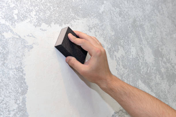 Best Mold Remediation for Healthcare Facilities  in Juneau, WI