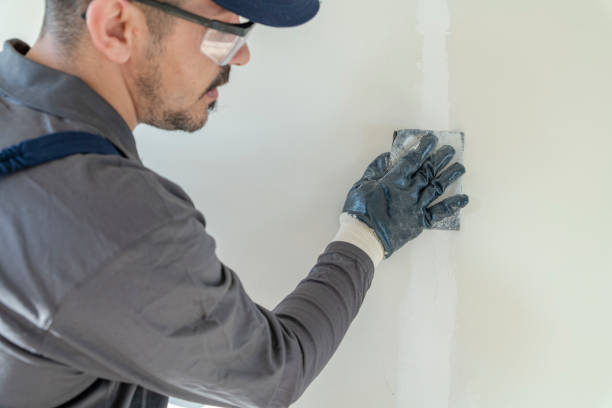 Reliable Juneau, WI Mold Removal Solutions