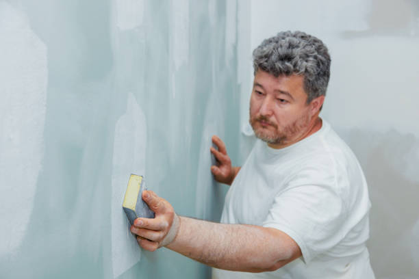 Best Basement Mold Removal  in Juneau, WI