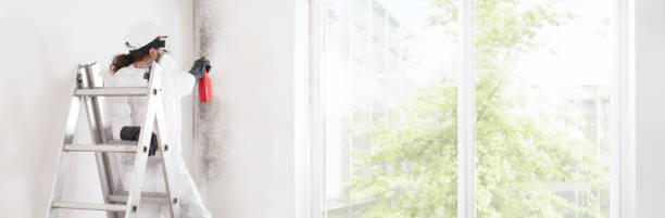 Best Real Estate Mold Inspection  in Juneau, WI