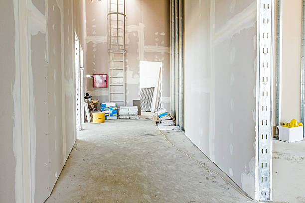 Best Commercial Mold Inspection  in Juneau, WI