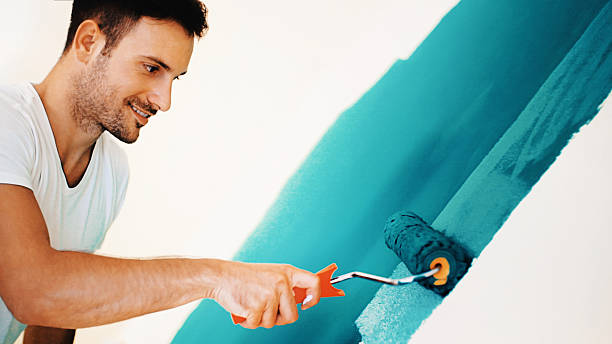 Best Black Mold Removal  in Juneau, WI